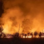 Kebakaran Hutan di Aljazair Tewaskan 25 Orang (NOVA WAHYUDI/ANTARA FOTO)