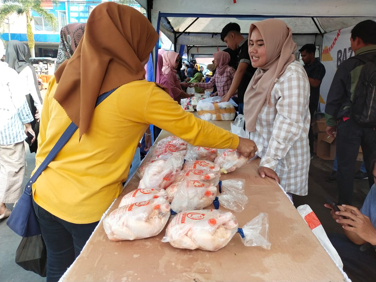 Harga Ayam Potong Meroket, Imbas Tingginya Harga Pakan!