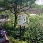 Pemkot Bandung Akan Amankan Aset Kebun Binatang Bandung, Foto Sandi Nugraha