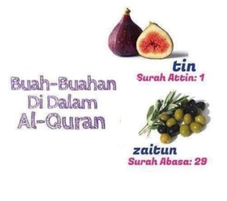 buah penurun kolesterol yang disebut di al-quran