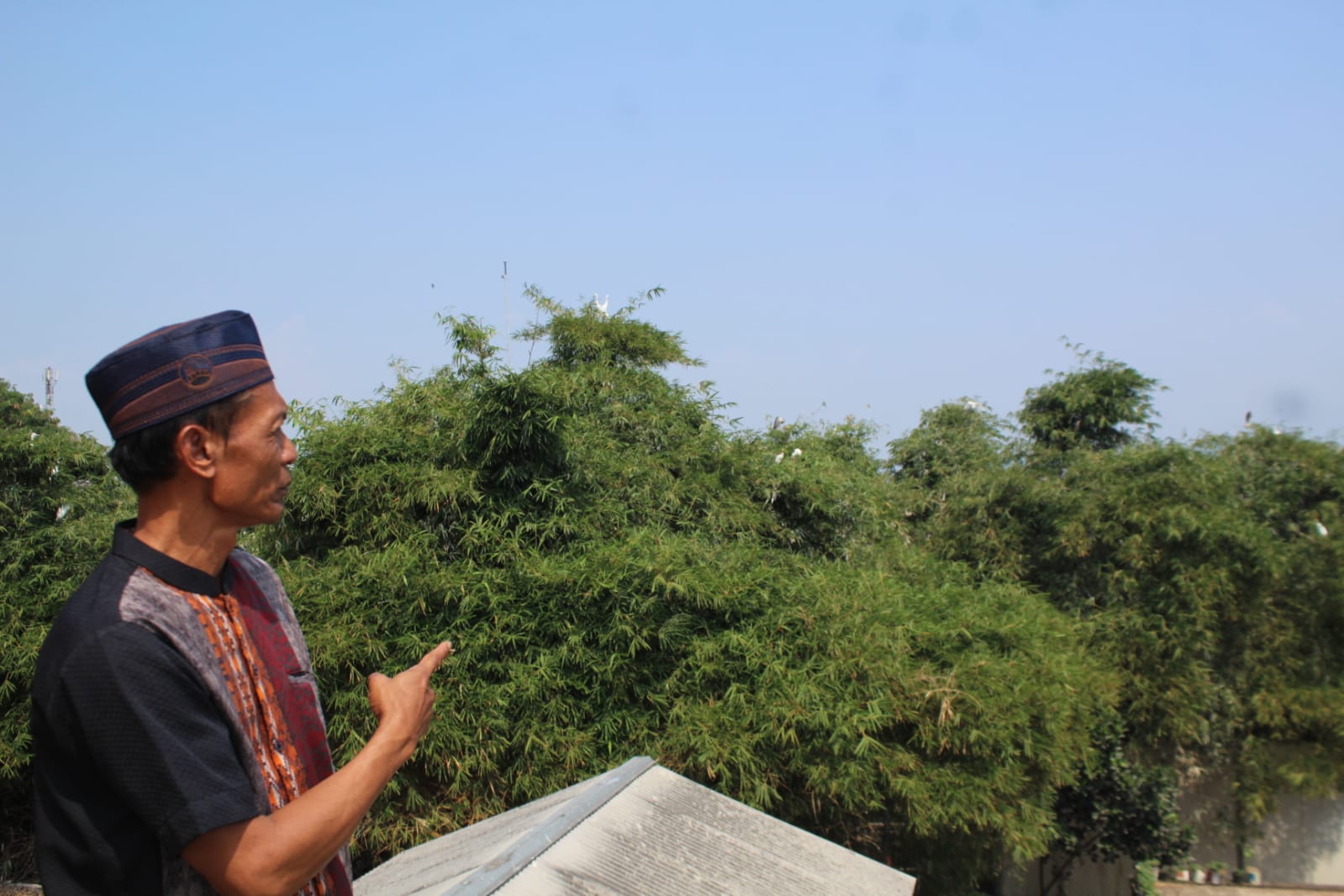 Menengok Kampung Blekok Kota Bandung, Hibah Lahan 2 Hektar yang Entah Kemana