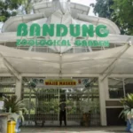 Pemkot Bandung melalui Plh Wali Kota Bandung Ema Sumarna menegaskan akan mengambil sikap terkait polemik Kebun Binatang Bandung. ANTARA/Novrian Arbi.