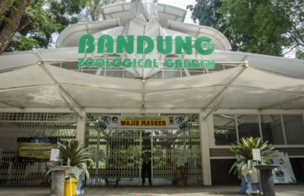 Pemkot Bandung melalui Plh Wali Kota Bandung Ema Sumarna menegaskan akan mengambil sikap terkait polemik Kebun Binatang Bandung. ANTARA/Novrian Arbi.