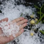 Northern Italy Experiences Hail, While the South is Scorched by Heat