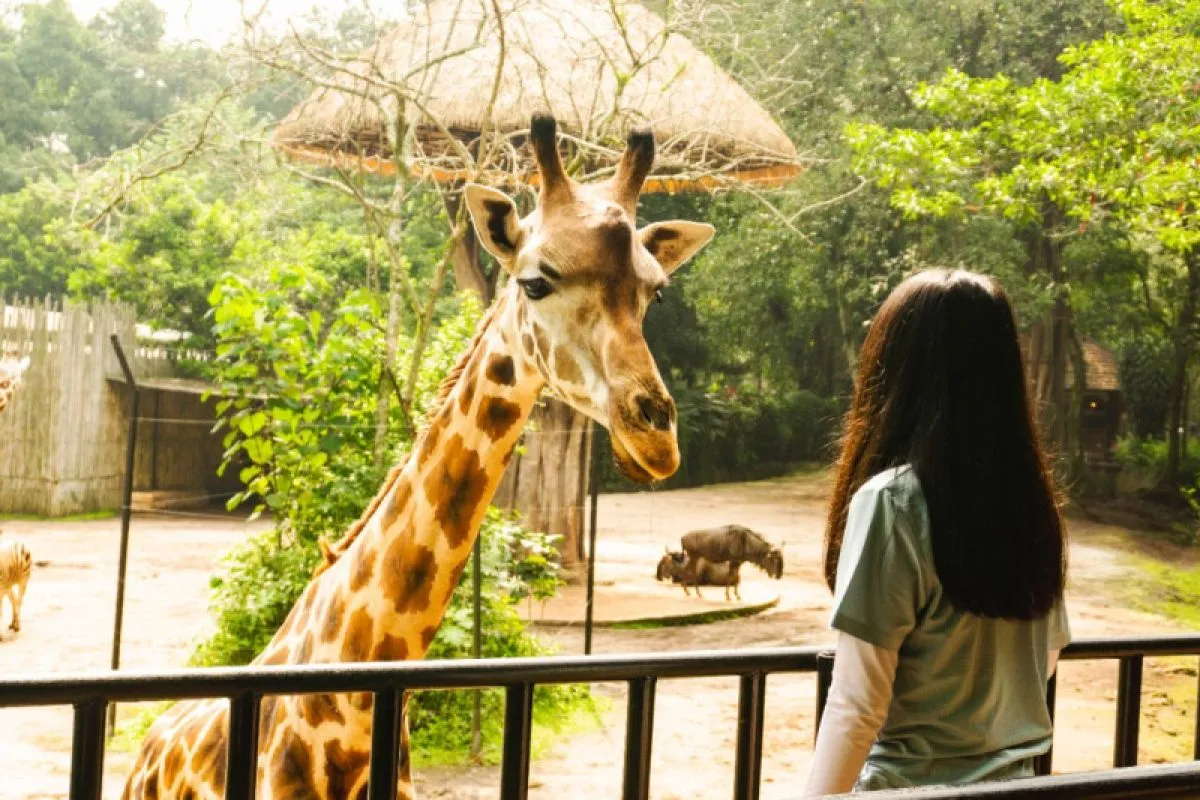 Plh Wali Kota Bandung Ema Sumarna menggandeng PKBSI untuk mengelola ratusan spesies satwa di tengah polemik Kebun Binatang Bandung. ANTARA/HO-Humas Bandung Zoo.