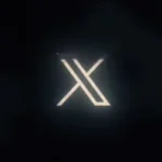 Logo X Twitter/Foto: Twitter (Sawyer Merritt)