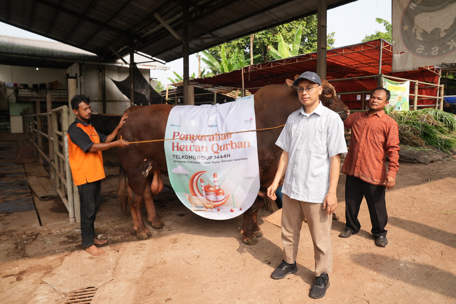 Idul Adha 1444 H, Telkom Group Distribusikan Hewan Kurban ke Seluruh Indonesia