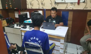 Tanam Ganja di Rumah, Warga Citamiang Kota Sukabumi Dibekuk Polisi