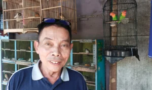 Para Pegiat Kicau Mania Kembali Heboh, Pedagang Burung Cimayor Harapkan Ekonomi Kembali Membaik