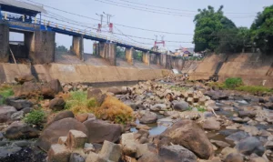 Debit air di Bendung Katulampa, Kota Bogor turun drastis. (Yudha Prananda/MG7)