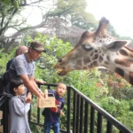 Anggota Aktif, Managemen Bandung Zoo Sayangkan Langkah Pemkot yang akan Gandeng PKBSI