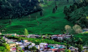 Sky Campsite Bogor, Surga yang Menyembuhkan dan Memikat Hati