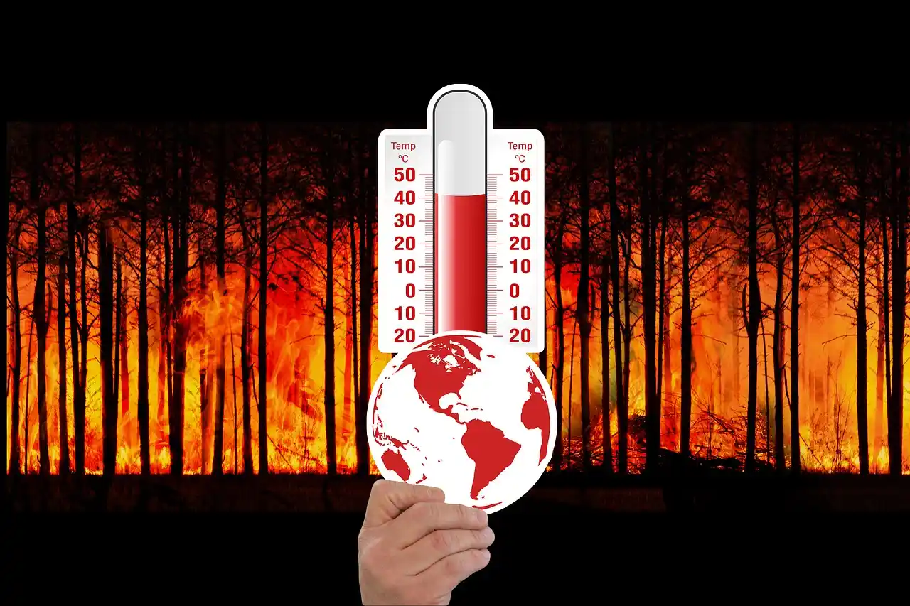 Darurat Krisis Iklim! 60 Ribu Orang di Eropa Meninggal Akibat Cuaca Panas Ekstrem