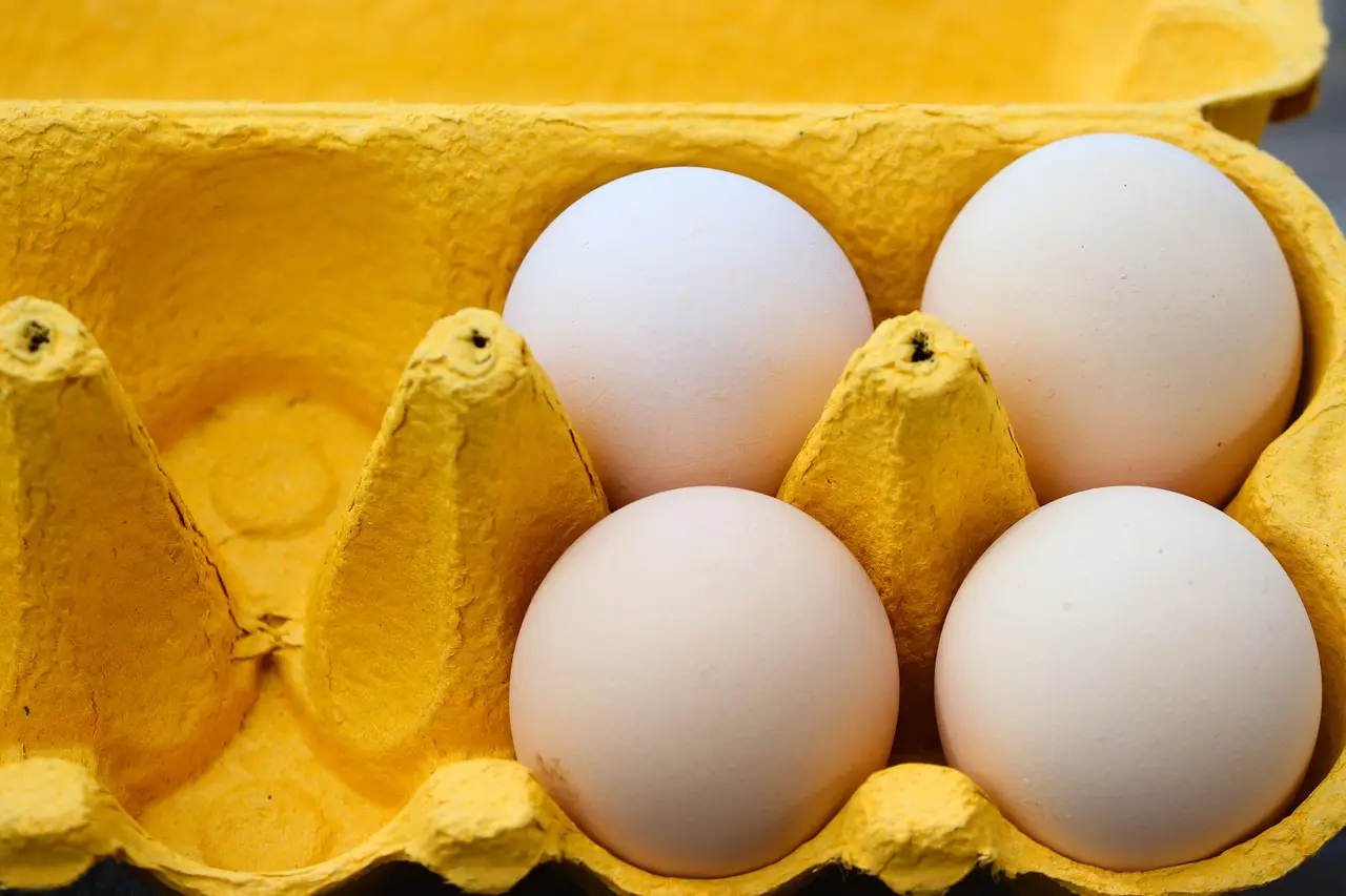 Perangi Stunting dengan Cara Konsumsi Protein Telur, Lawan Stigma Penjajahan!