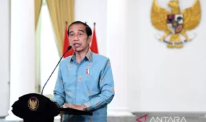 Aturan Publisher Rights Menunggu Tekenan Jokowi: Jadi Jembatan Koneksi antara Media dan Platform Digital