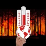 Lebih dari 2.500 Orang Dievakuasi dari Kebakaran di Yunani Selama Cuaca Panas Ekstrem