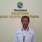 Cegah Illegal Logging hingga Manfaatkan Lahan Kawasan, Perhutani KPH Bandung Utara Berdayakan LMDH