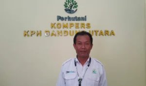 Cegah Illegal Logging hingga Manfaatkan Lahan Kawasan, Perhutani KPH Bandung Utara Berdayakan LMDH