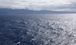 Kronologi Pria Terdampar di Samudra Pasifik, Lewati Lika-Liku Penderitaan Selama Dua Bulan