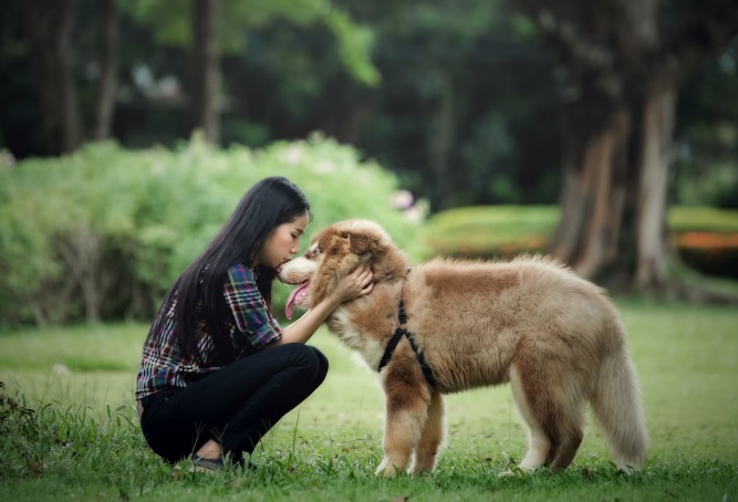 Gara-gara Pelihara Anjing, Warga di Bogor Cekcok Viral di Media Sosial, Ini Kronologinya