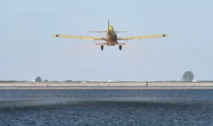 Viral Pesawat Mendarat Dekat Pantai di AS, Begini Kronologinya
