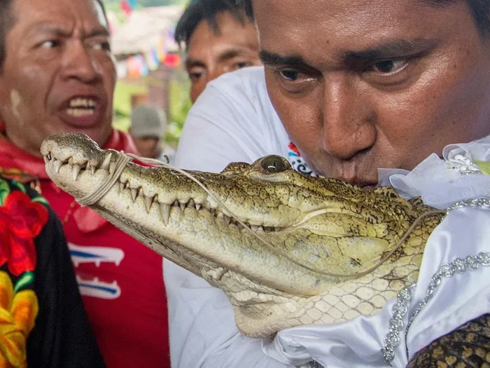 Walikota Meksiko Menikahi Buaya