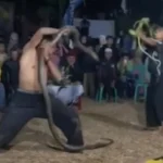 Tangkapan layar video aksi pawang ular kobra saat melakukan pertunjukan. (instagram @Seputarsumedang)