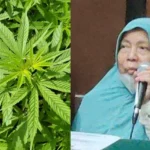 Viral Nenek Asfiyatun Divonis 5 Tahun Penjara Akibat Ulah Anaknya!