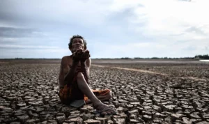 BMKG: Krisis Pangan 2050, Manusia Tidak Bisa Lagi Makan