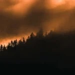 5 Kebakaran Hutan Paling Mematikan yang Terjadi di Amerika Serikat