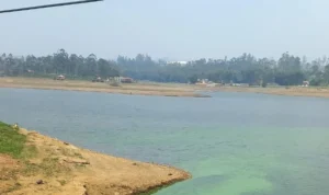 Debit air Situ Cileunca, Kecamatan Pangalengan, Kabupaten Bandung setiap harinya menyusut.Hal ini terjadi karena dampak dari musim kemarau