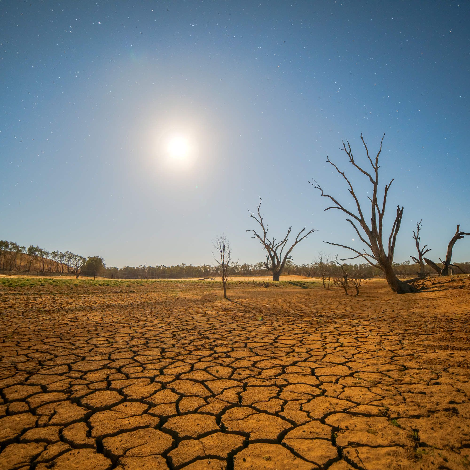 BMKG Ungkap 63 Persen Wilayah Indonesia Terdampak El Nino Dan Masuki ...