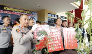 Sat Narkoba Polresta Bandung Amankan 12 Orang Tersangka Kasus Narkotika dalam Operasi Antik Lodaya 2023. Foto Dok Humas Polresta Bandung