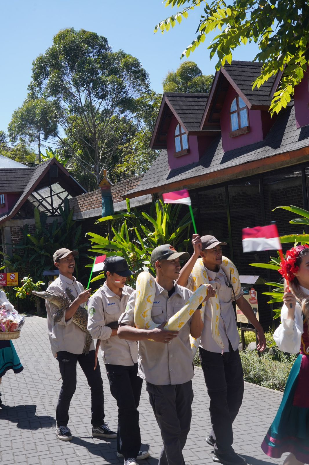 Parade satwa yang digeular Lembang Park and Zoo. Kamis (17/8). Foto Jabarekspres