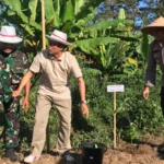 Pemkab Lombok Lakukan Penghijauan Hutan Desa Lantan
