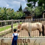 Rekomendasi Tempat Wisata Anak Murah di Bandung, Salah Satunya Jendela Alam Bandung/ Instagram @jendelaalambandung
