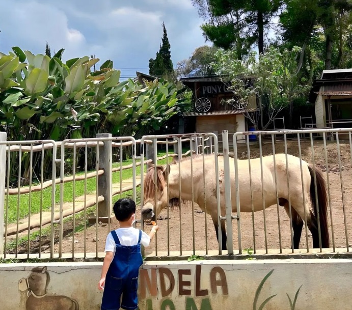 Rekomendasi Tempat Wisata Anak Murah di Bandung, Salah Satunya Jendela Alam Bandung/ Instagram @jendelaalambandung