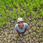 Krisis Iklim di Papua Selatan