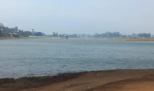 Situ Cileunca, Pangalengan, Kabupaten Bandung, Jawa Barat mengalami penurunan debit air lantaran dampak fenomena el nino dan kemarau panjang. Jabar Ekspres/Agi.