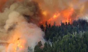 Kobaran api yang mewakili ancaman serius telah memasuki hari kedua sejak Minggu (20/8), dengan kota ini terus dilanda kebakaran hutan yang belum berhasil dipadamkan.