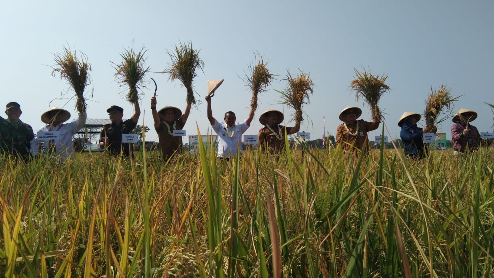 Ratusan Ribu Lahan Tani Hilang di Jawa Barat, Ini Penyebabnya!