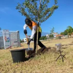 Hijaukan Kota Cirebon, PT KAI Tanam 654 Pohon
