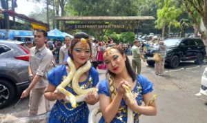 Parade Budaya dan Satwa Peringatan HUT RI ke-78 di Taman Safari Bogor Bertajuk Kebinekaan