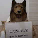 Viral Pria Jepang Memilih Hidup Sebagai Anjing, Begini Reaksi Keluarganya