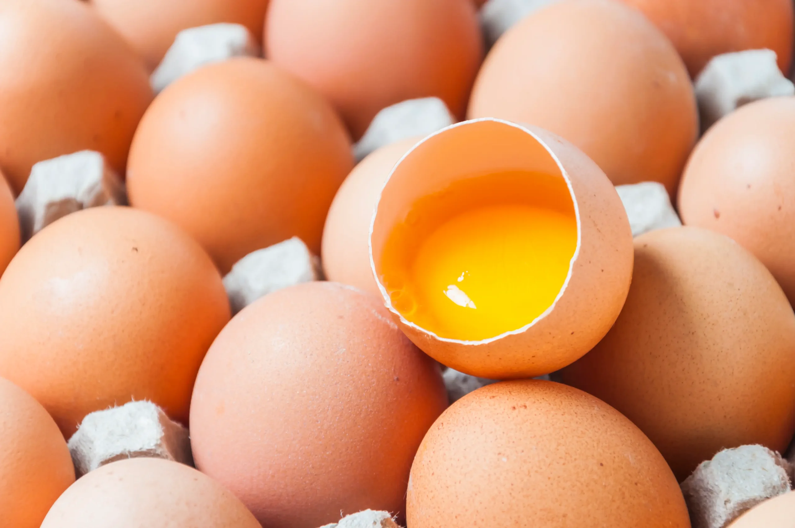 Telur Menyebabkan Kolesterol Tinggi? Ketahui Mitos atau Fakta