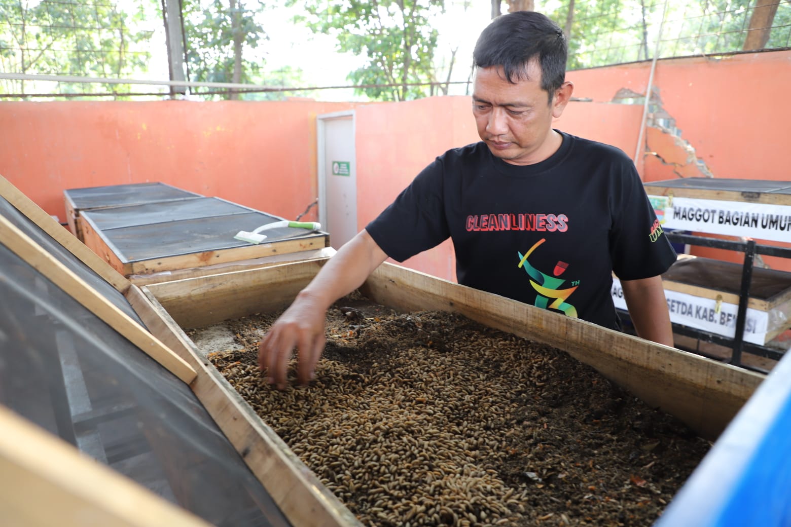 Ilustrasi: Penggunaan maggot dalam pengelolaan sampah di Kabupaten Bekasi.
