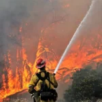 18 Mayat Korban Kebakaran Hutan Ditemukan di Perbatasan Turki