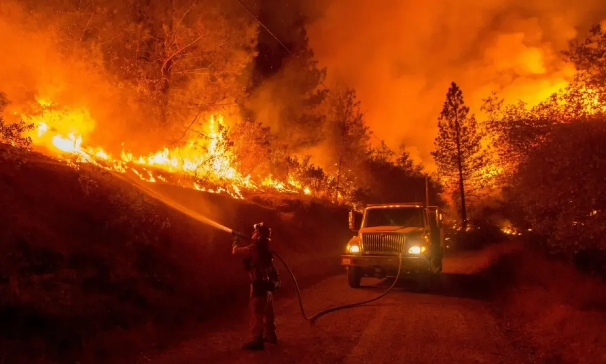 kebakaran hutan, yunani, kebakaran hutan terburuk, eropa, dampak kebakaran hutan, krisis iklim