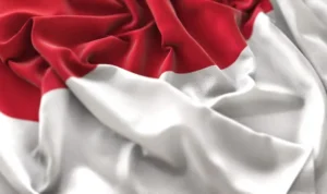 Contoh Puisi 17 Agustus Tema Kemerdekaan Indonesia