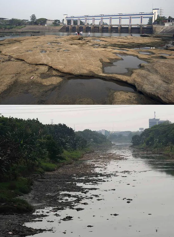 Air Sungai di BKT Jakarta Mengalami Penurunan Drastis Selama Musim Kemarau